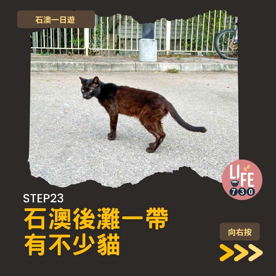 石澳一日遊好去處(am730製圖)