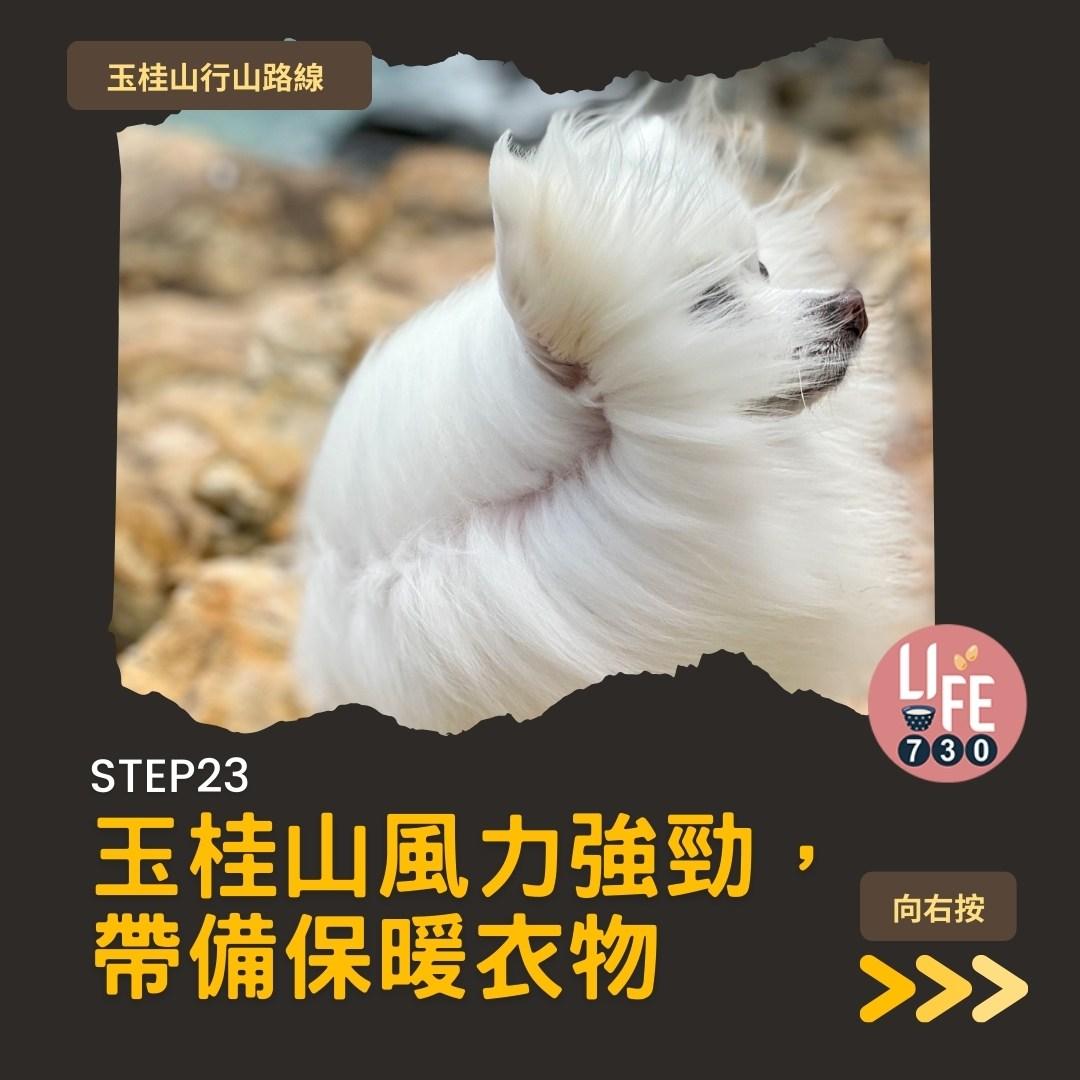 玉桂山及鴨脷排行山路線(am730製圖)