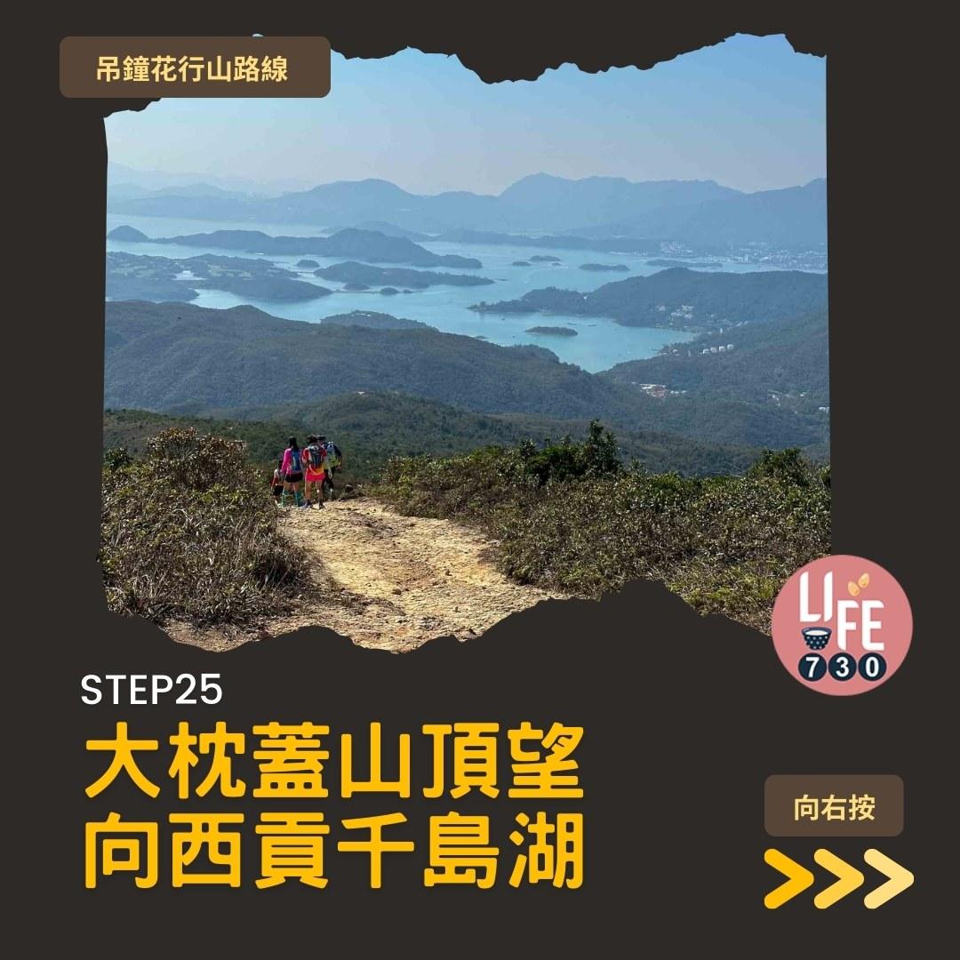 吊鐘花行山路線︱鹿湖郊遊徑大枕蓋農曆新年行大運(am730製圖)