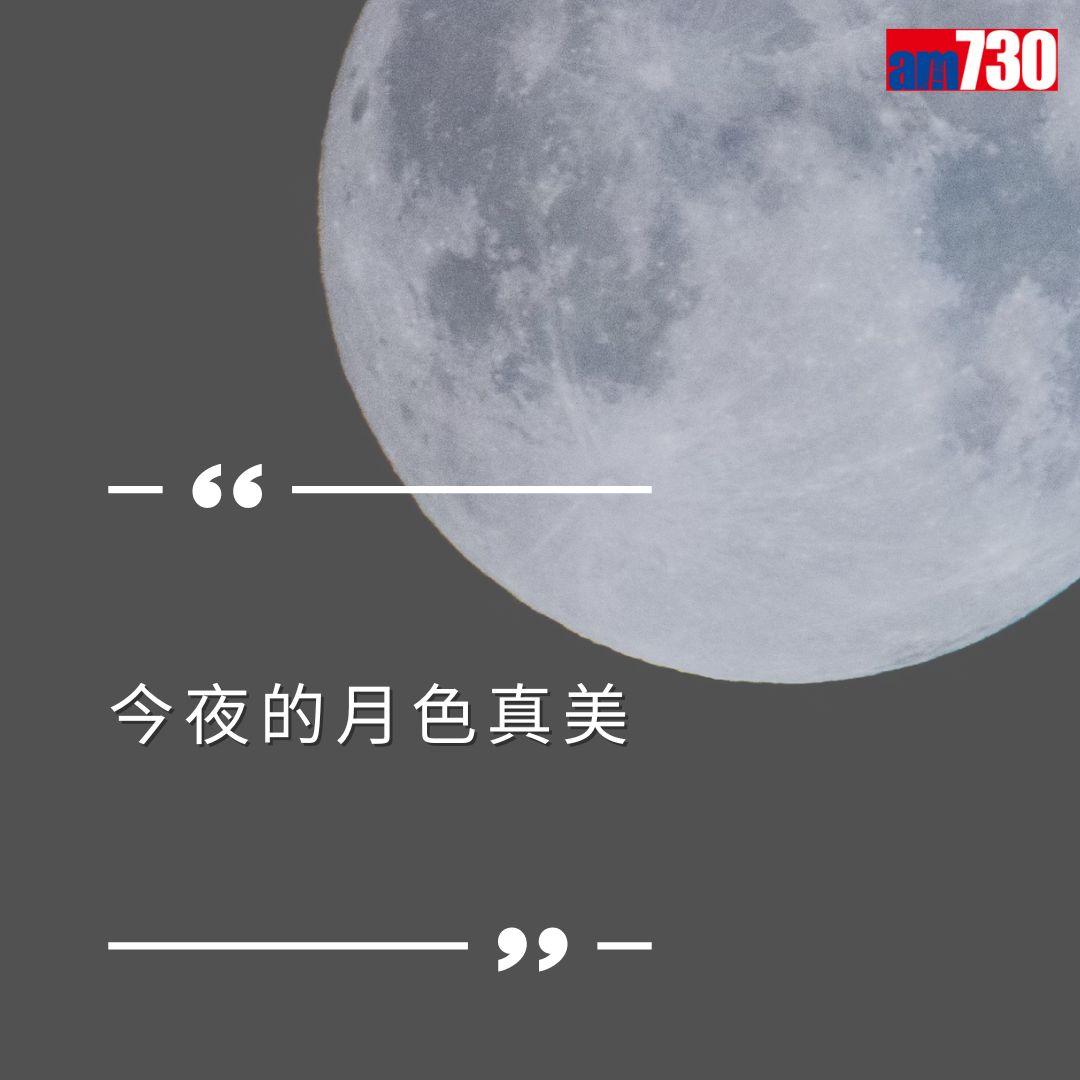 情人節告白語錄