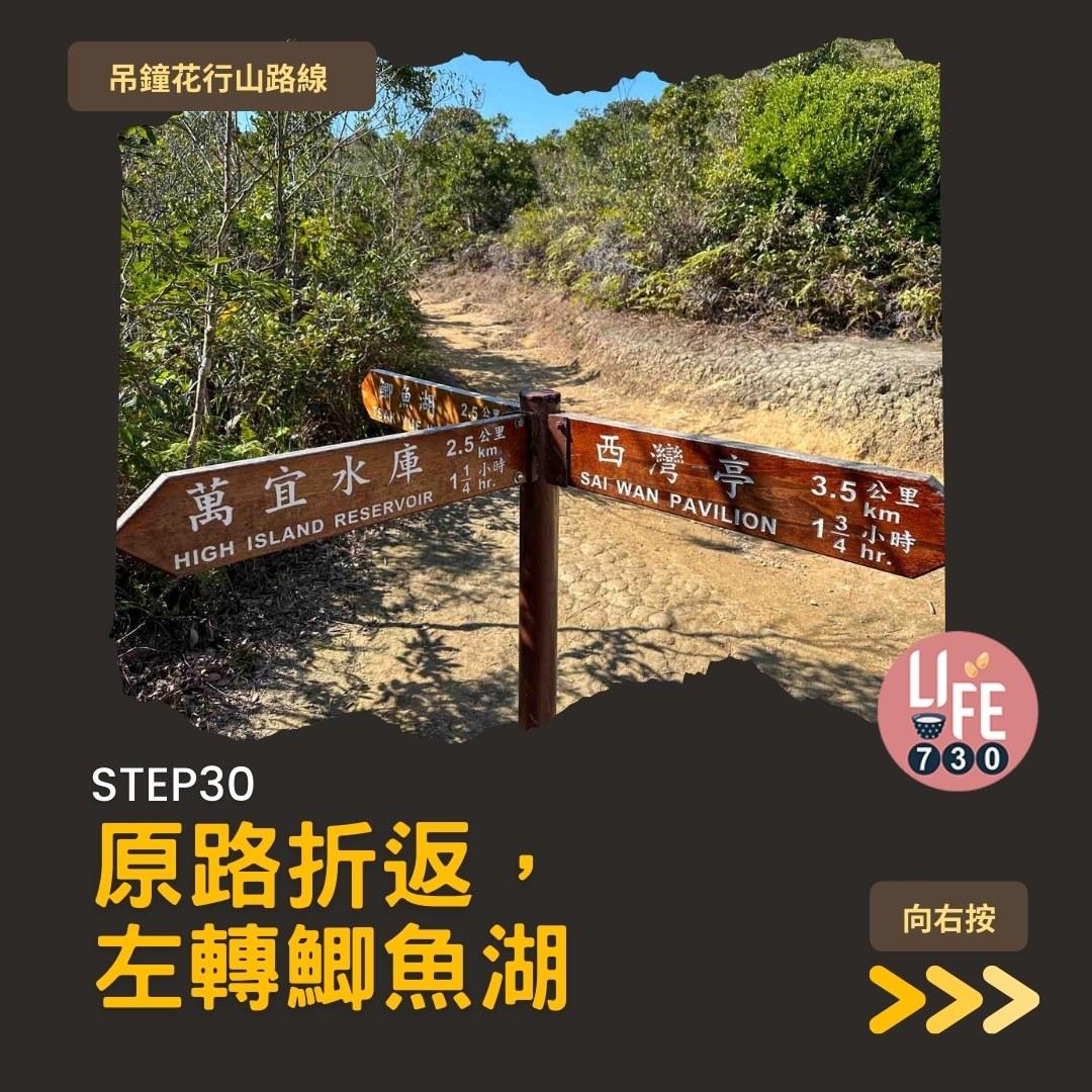 吊鐘花行山路線︱鹿湖郊遊徑大枕蓋農曆新年行大運(am730製圖)