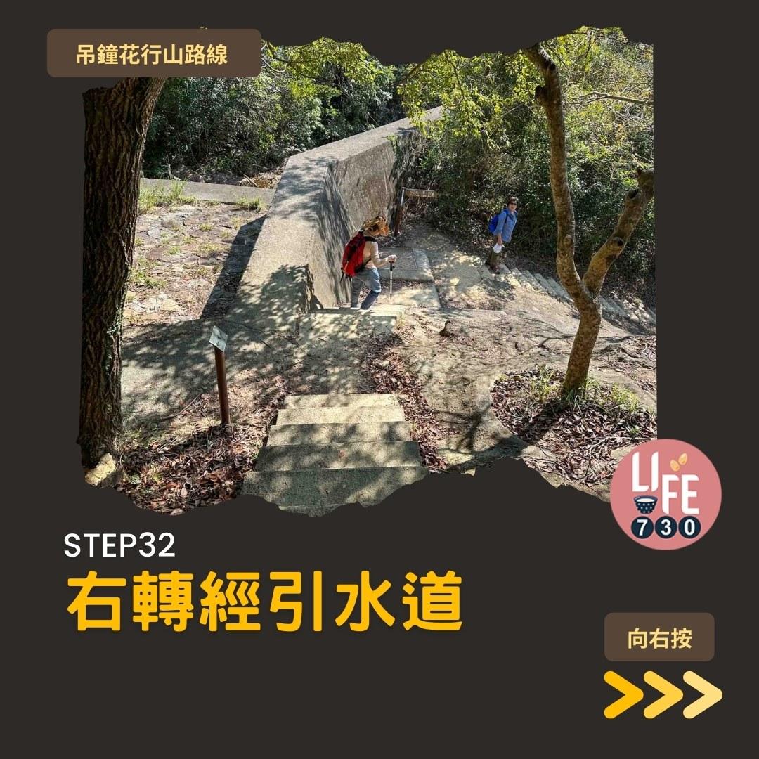 吊鐘花行山路線︱鹿湖郊遊徑大枕蓋農曆新年行大運(am730製圖)