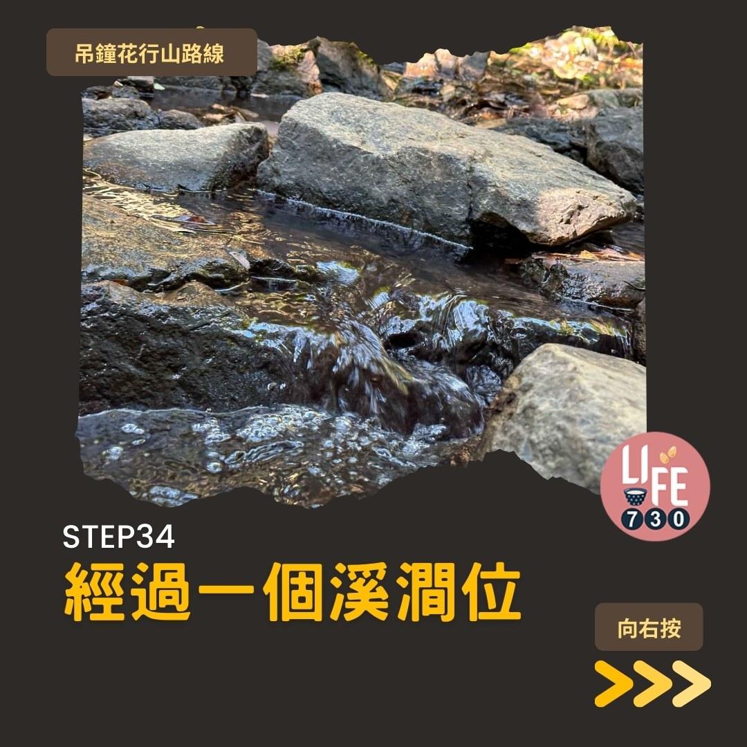 吊鐘花行山路線︱鹿湖郊遊徑大枕蓋農曆新年行大運(am730製圖)