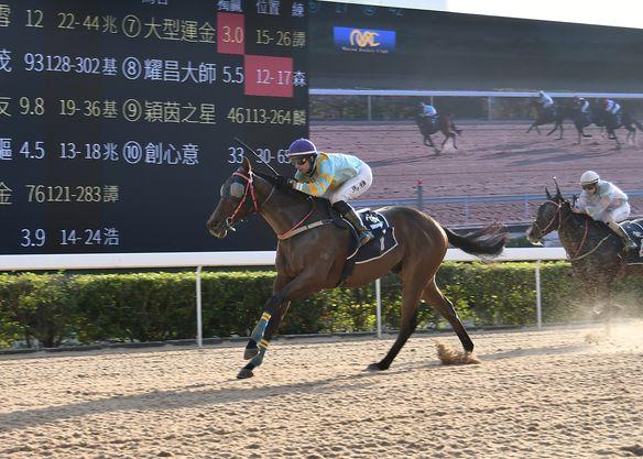 澳門政府公布由4月1日起,解除澳門賽馬會專營批給合同。(澳門賽馬會圖片)