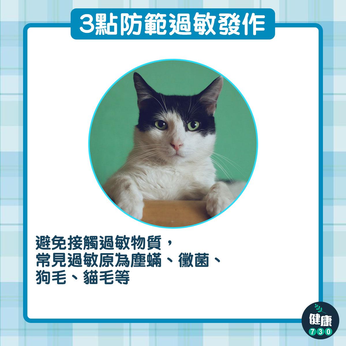鼻敏感/哮喘/濕疹預防方法,包括避免接觸貓毛、狗毛等(am730製圖)