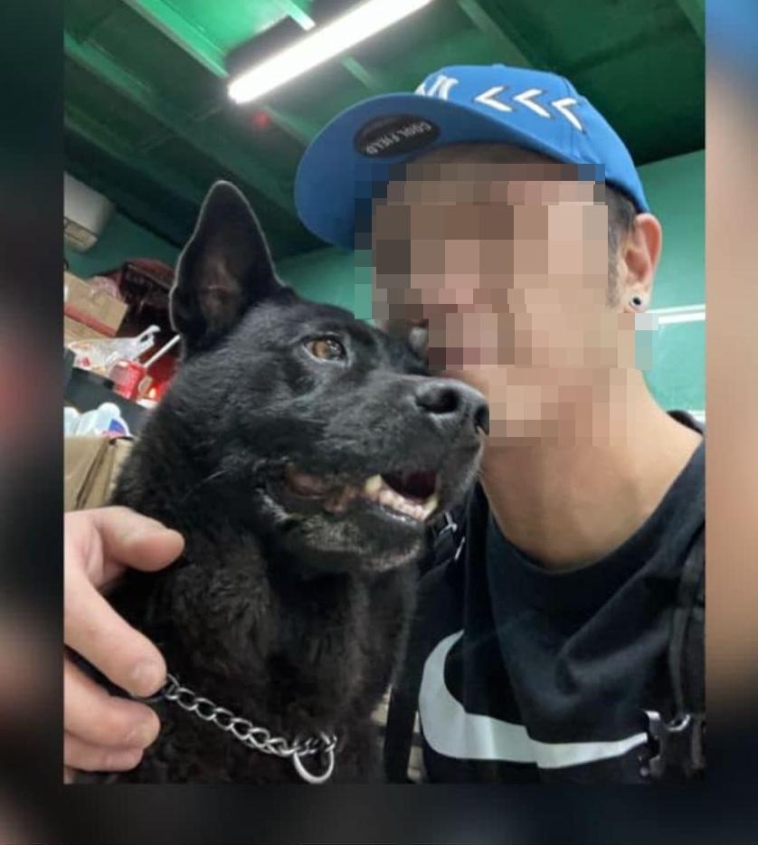 男童母在Facebook群組「荃灣友」公開狗主照片