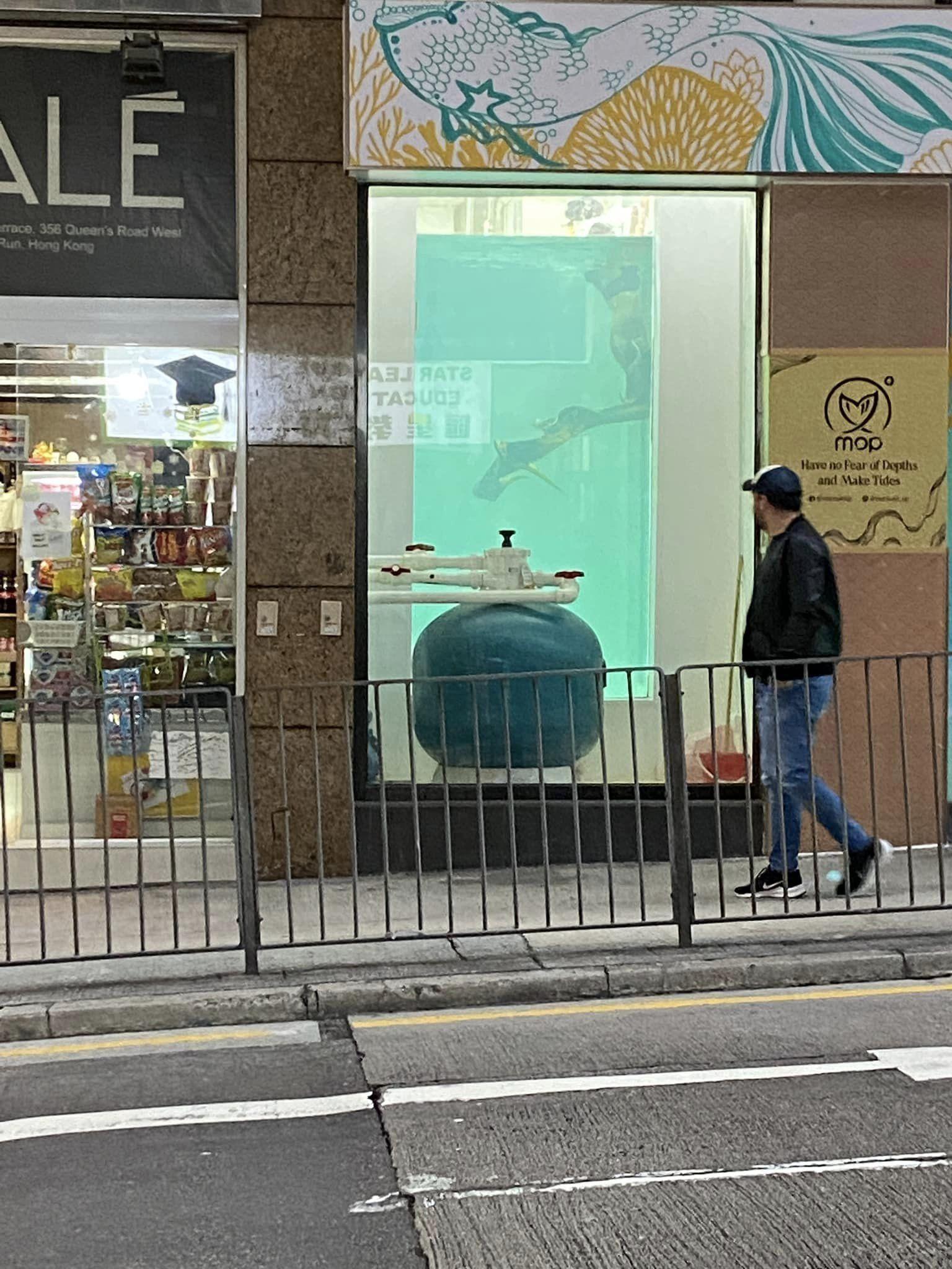 有網民留意到西營盤一間地舖門前的大水箱中,驚現「美人魚」落水表演,引來不少市民圍觀拍照。(fb西環變幻時)