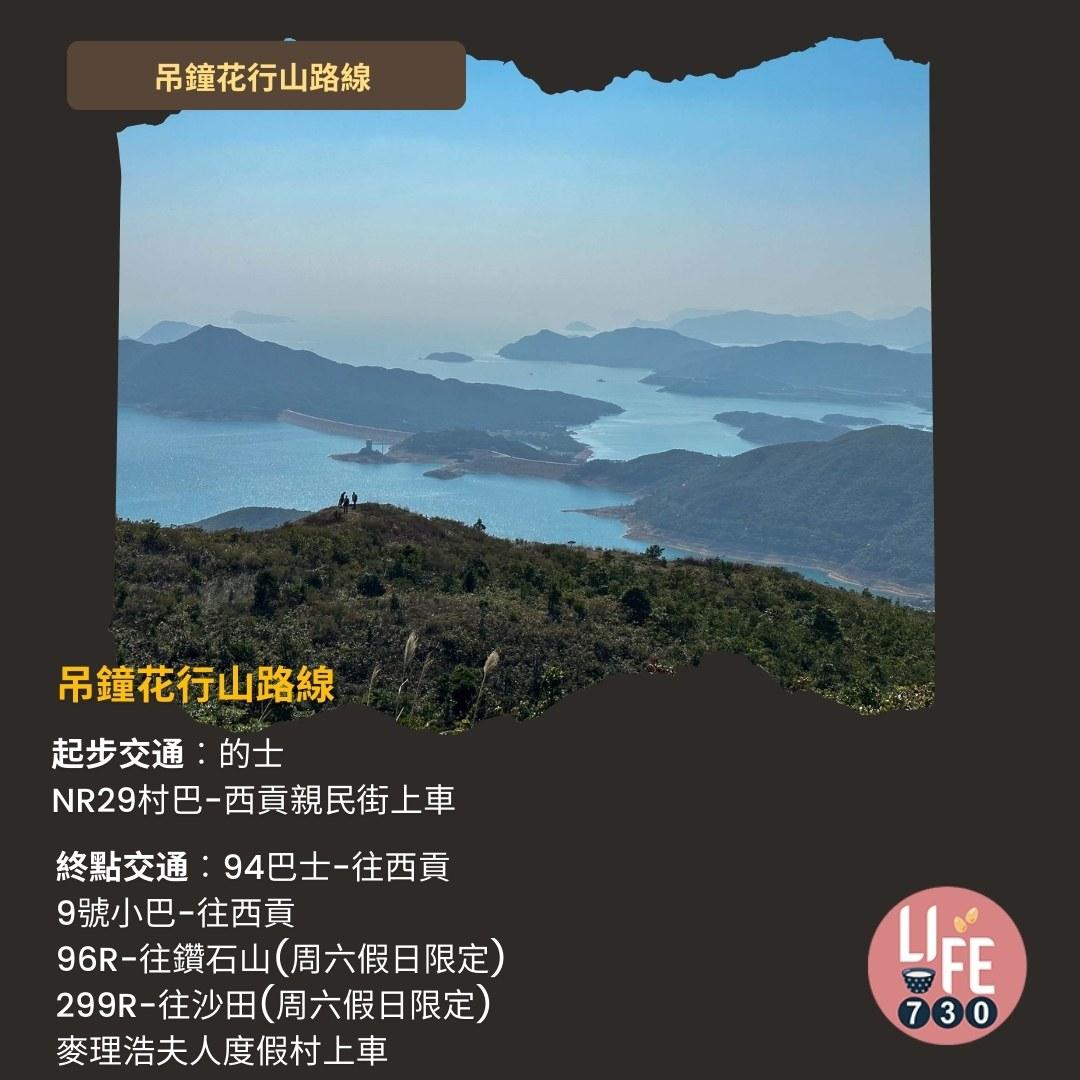 吊鐘花行山路線︱鹿湖郊遊徑大枕蓋農曆新年行大運(am730製圖)