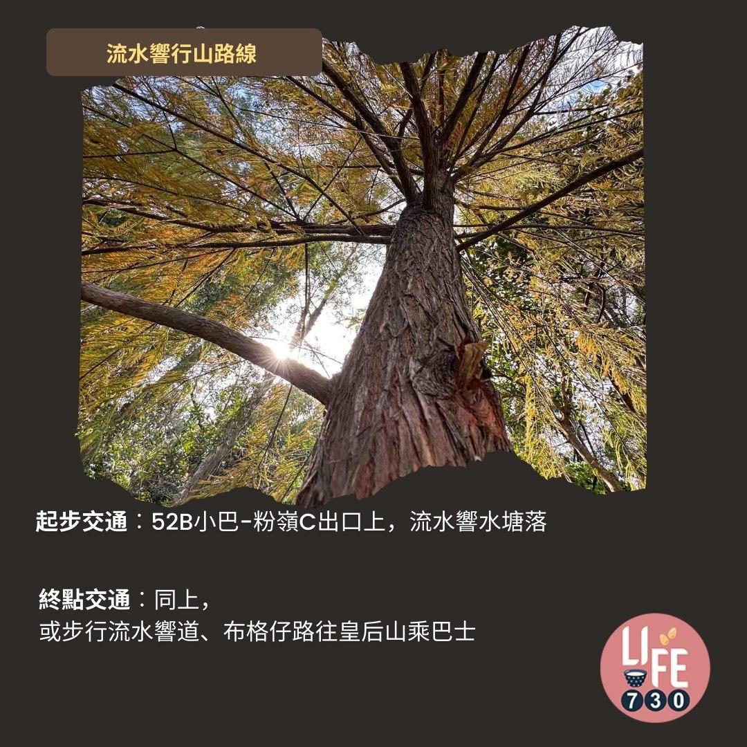 流水響紅葉、天空之鏡等3大景點 零難度行山路線(am730製圖)