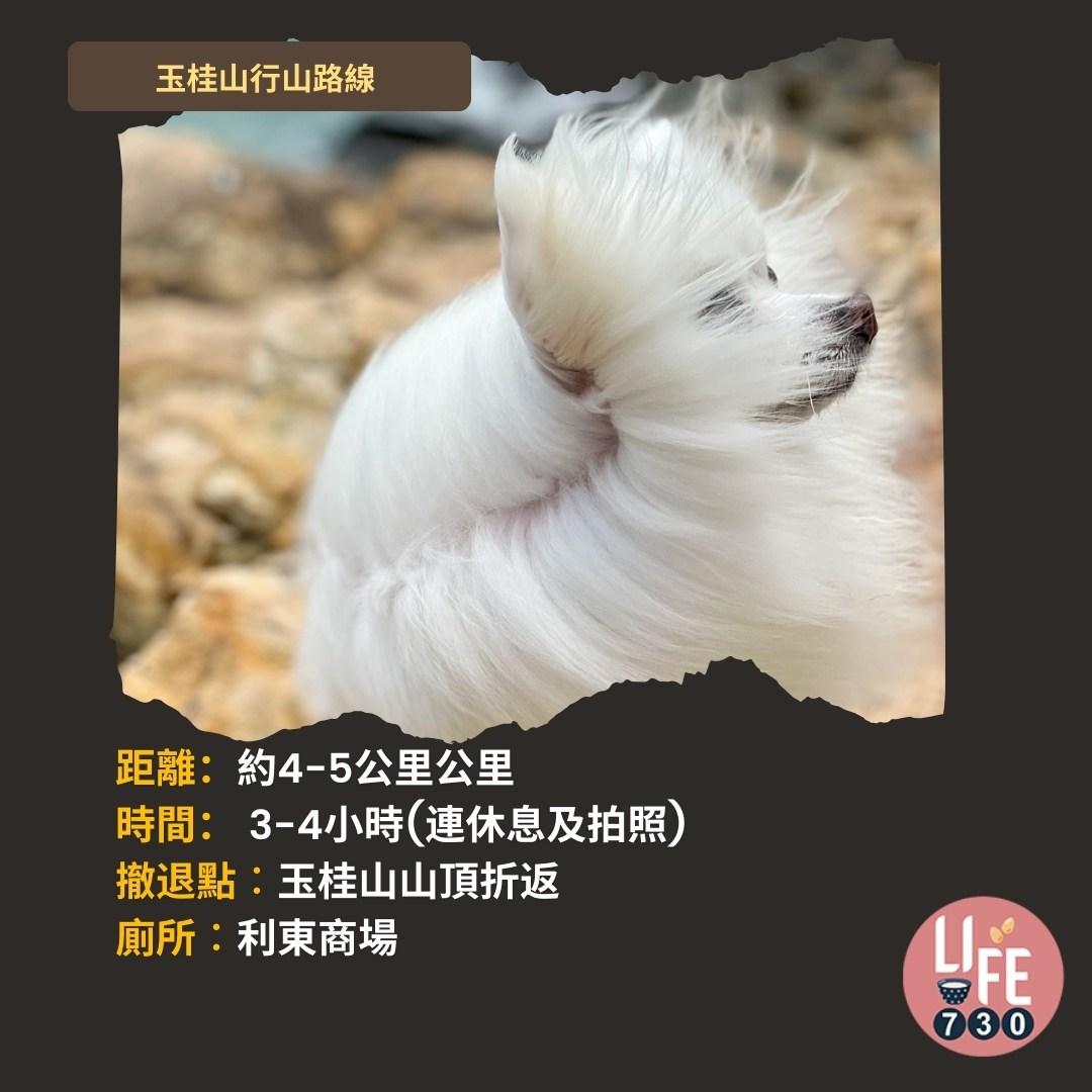 玉桂山及鴨脷排行山路線(am730製圖)