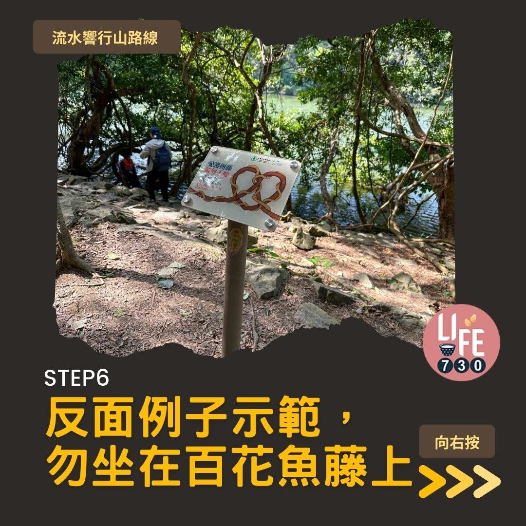 流水響紅葉、天空之鏡等3大景點 零難度行山路線(am730製圖)