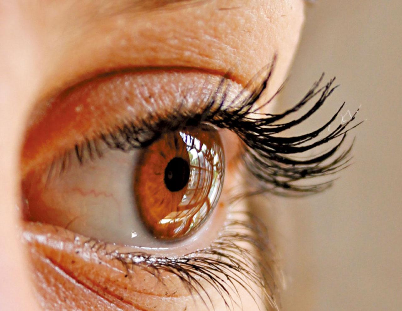 睫毛:保護眼睛的小天使