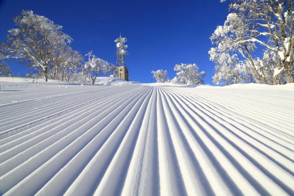 日媒指事發於當日下午1時左右,長野縣下高井郡的野澤溫泉村滑雪場,有一名23歲的台灣男大生在滑雪時發生意外,摔倒後被緊急送醫,最終死亡。