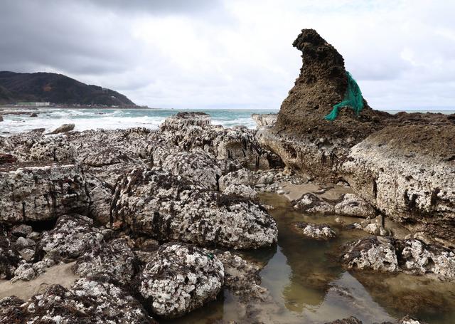 日本地震後,哥斯拉岩一原因由海邊「上岸」後畫面。