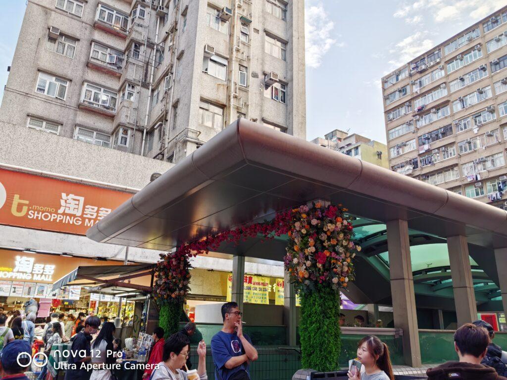 nova 12 Pro 相機拍攝效果