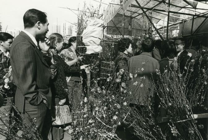 1975年的維園年宵市場,不少市民正在選購心水桃花。(圖片來源:香港記憶網站)