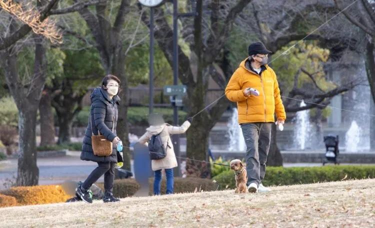 山口百惠外型看似消瘦了不少。