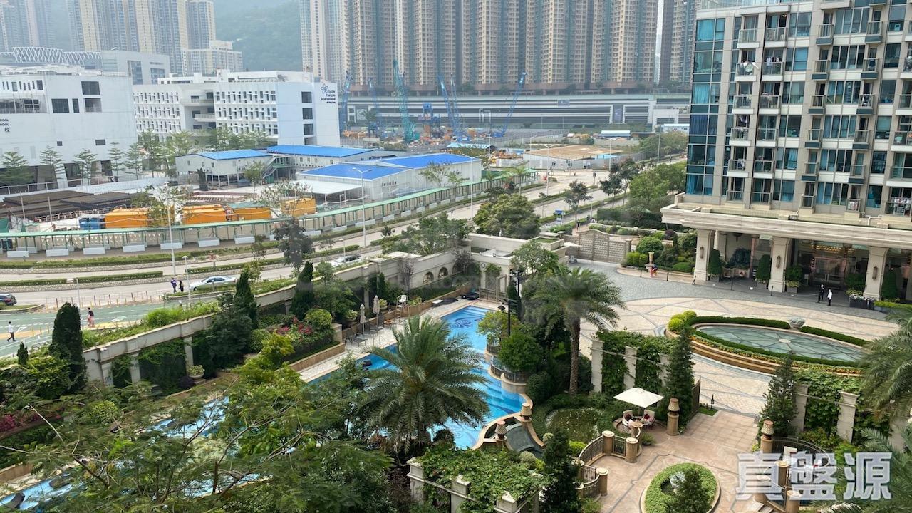 雖然單位位於低層,但景觀頗開揚。(代理提供)