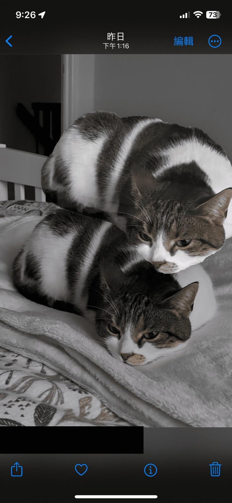 IOS用戶自製WhatsApp貼圖Sticker步驟︰選擇相片