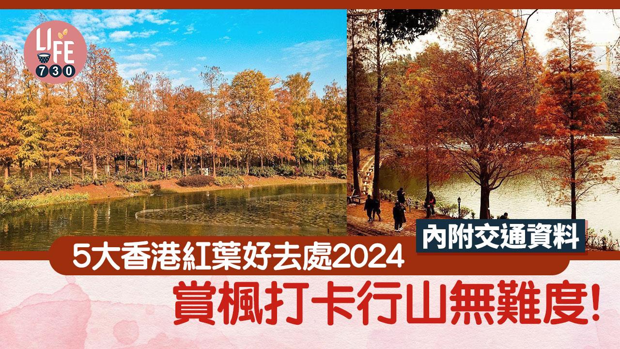 紅葉2024|大棠、中大未圓湖、青衣公園等5個香港睇紅葉好去處(am730製圖)