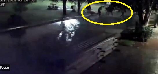 友人嚇得狂奔四散。(互聯網)