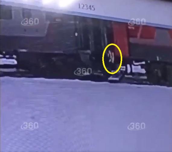 片段顯示,有人把貓咪丟出火車。(互聯網)