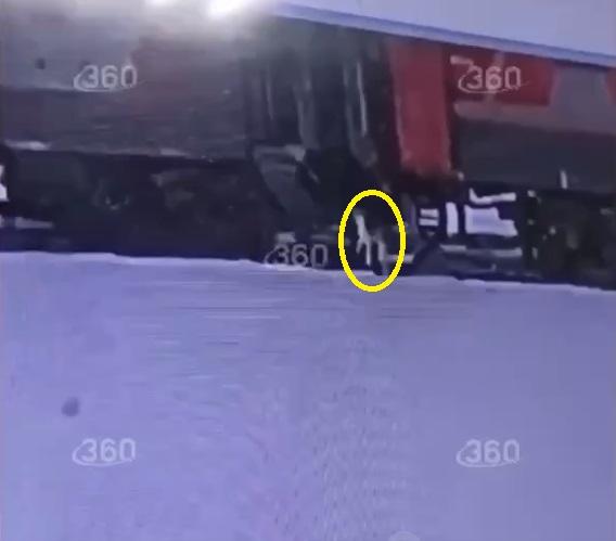 片段顯示,有人把貓咪丟出火車。(互聯網)