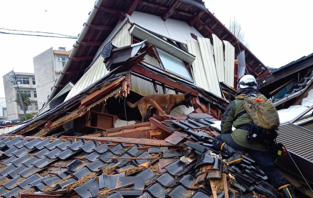 愛知縣豐橋市搜救犬隊投入救災。(互聯網)
