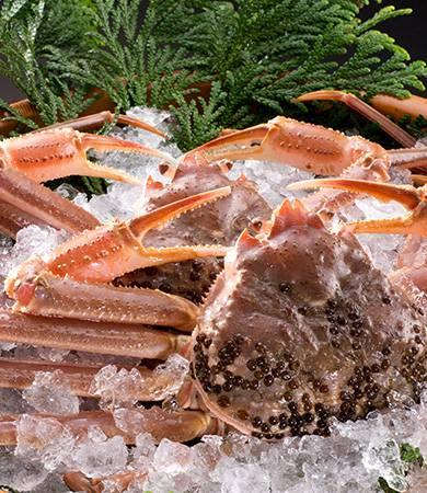 加賀屋獲選為日本第一的旅館。(加賀屋網頁圖片)