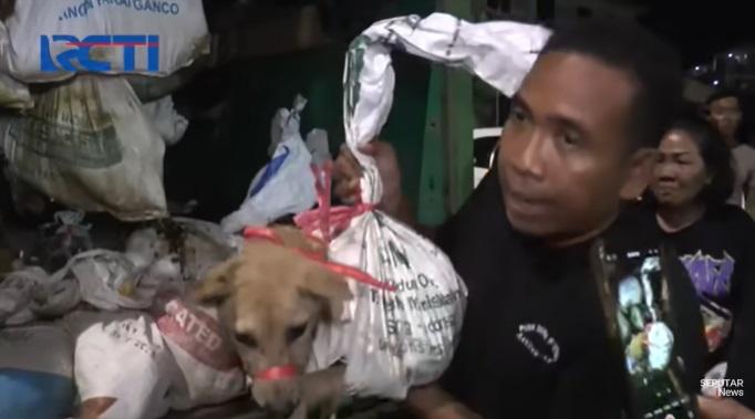 警員把狗隻逐一拿走。(互聯網)