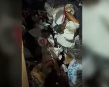 貨車偷運狗隻去屠宰。(互聯網)