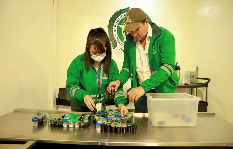 用作走私的小盒。(互聯網)