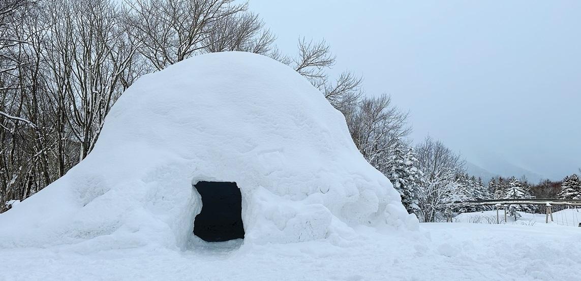 北海道留壽都村滑雪場。(互聯網)