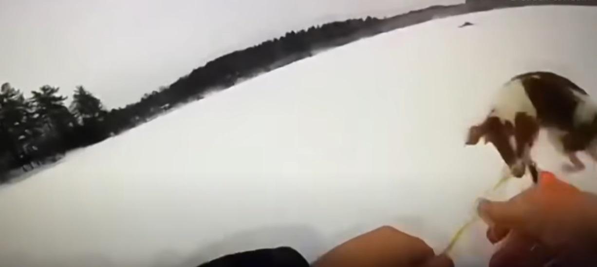 警員把繩子交給小狗。(互聯網)