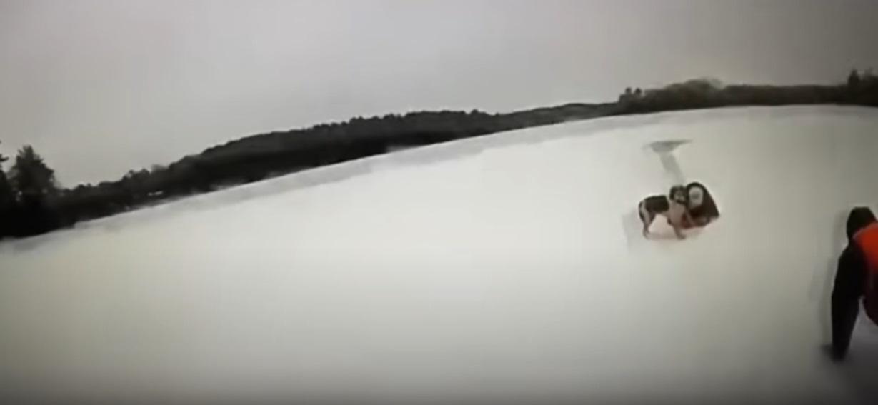 小狗跑到主人身邊,把繩子交給他,消防員也慢慢靠近。(互聯網)