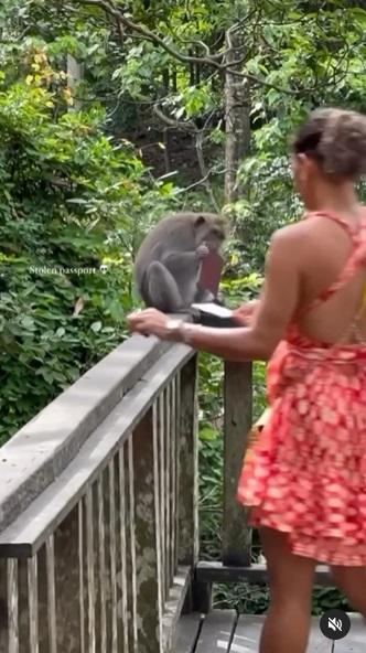 女遊客遞上紙張,望分散猴子注意。(互聯網)