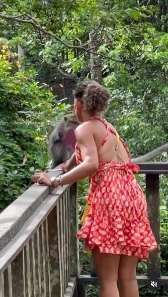 女遊客遞上紙張,望分散猴子注意。(互聯網)