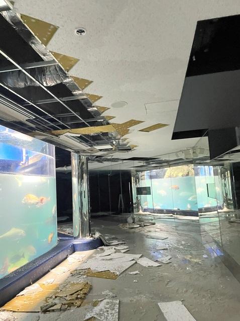 水族館設施受地震破壞,需閉館等待維修。(互聯網)