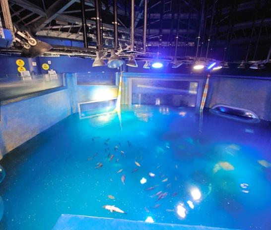 水槽設備損毀漏水。(互聯網)