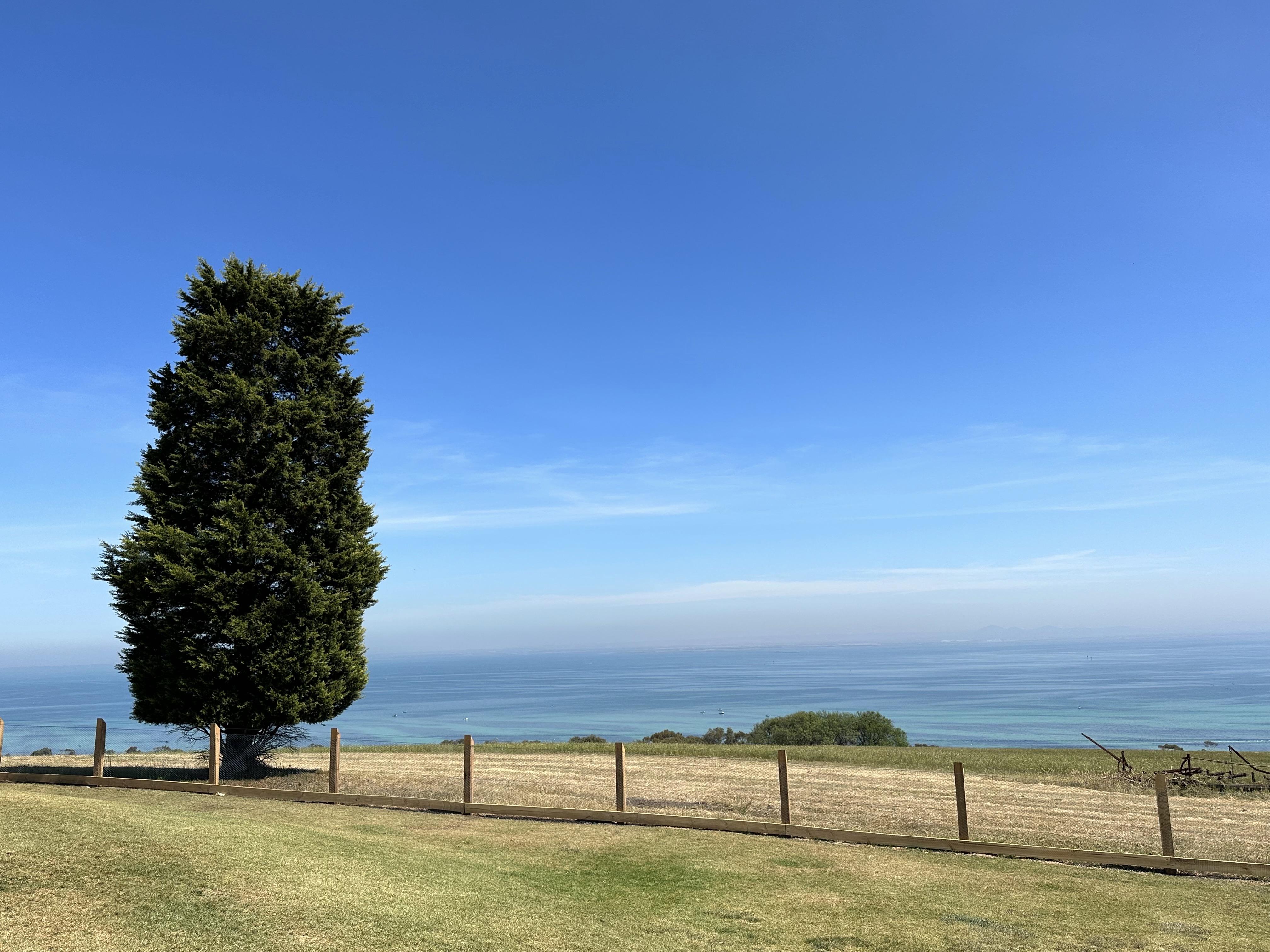 Jack Rabbit面朝Port Phillip Bay大海美景,打卡度爆燈。