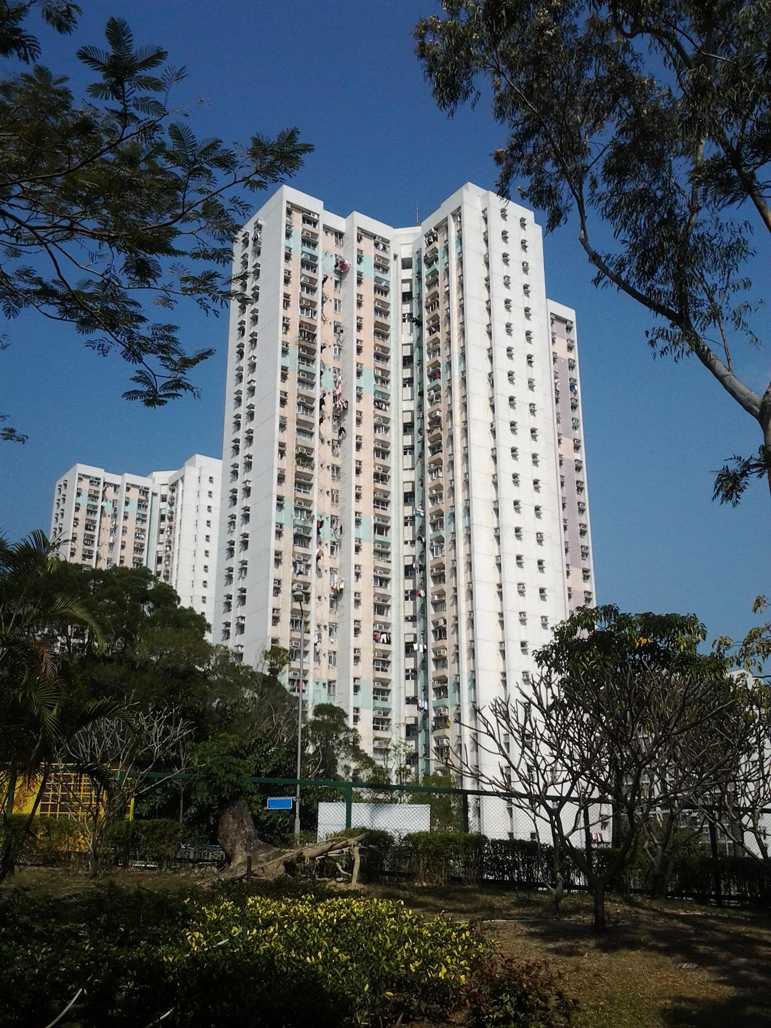 一二手齊發 今年居屋交投料續旺