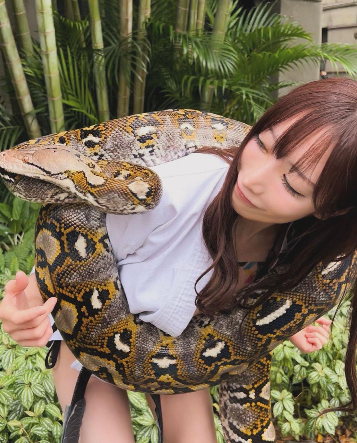 清水藍里大蟒蛇纏身仍面不改容。