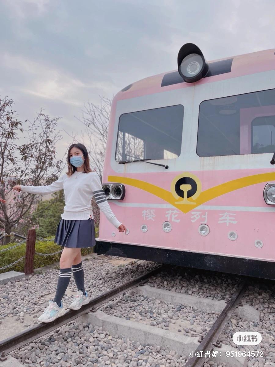 華英路櫻花主題公園 (圖片來源: 小紅書)