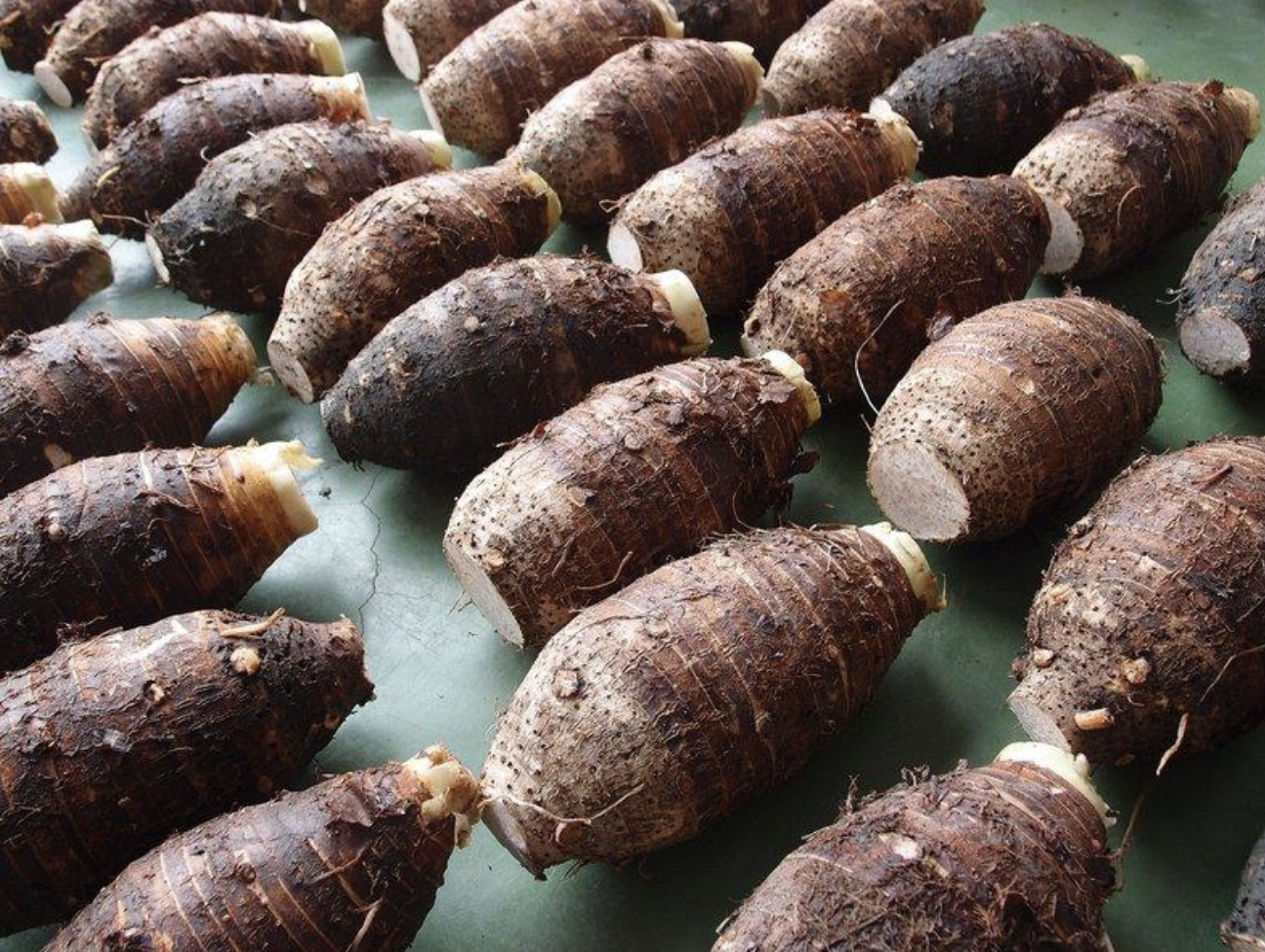 每年九月下旬到三月初,都是吃芋頭的最好時機。 (網絡圖片)