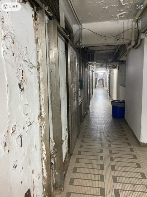 (圖片來源:小紅書)