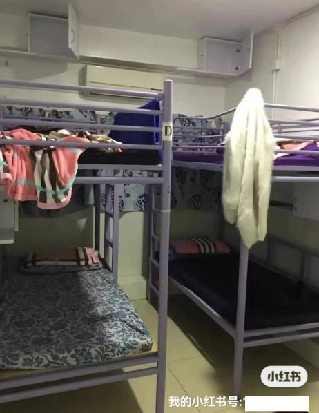 (圖片來源:小紅書)