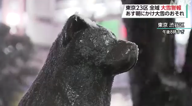 關東大雪|東京澀谷區