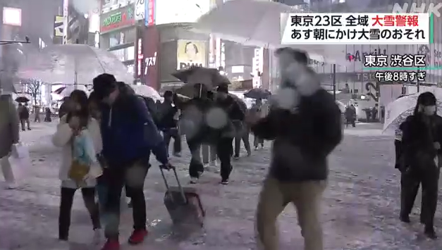 關東大雪|東京澀谷區