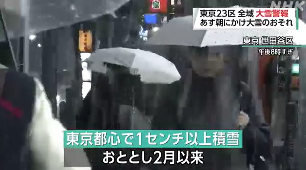 關東大雪|東京世田谷區