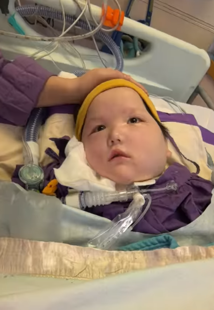 手術期間因醫療事故變成植物人的8歲女童周天瑜,情況一直受到關注。天瑜爸爸昨晚年三十(9日)在社交平台上傳影片,一家一起去到醫院陪伴天瑜,一家四口在天瑜床邊溫馨團聚。(天瑜醫療事故關注組)